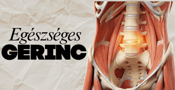 egeszseges-gerinc-program