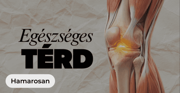 egeszseges-terd-program-hamarosan